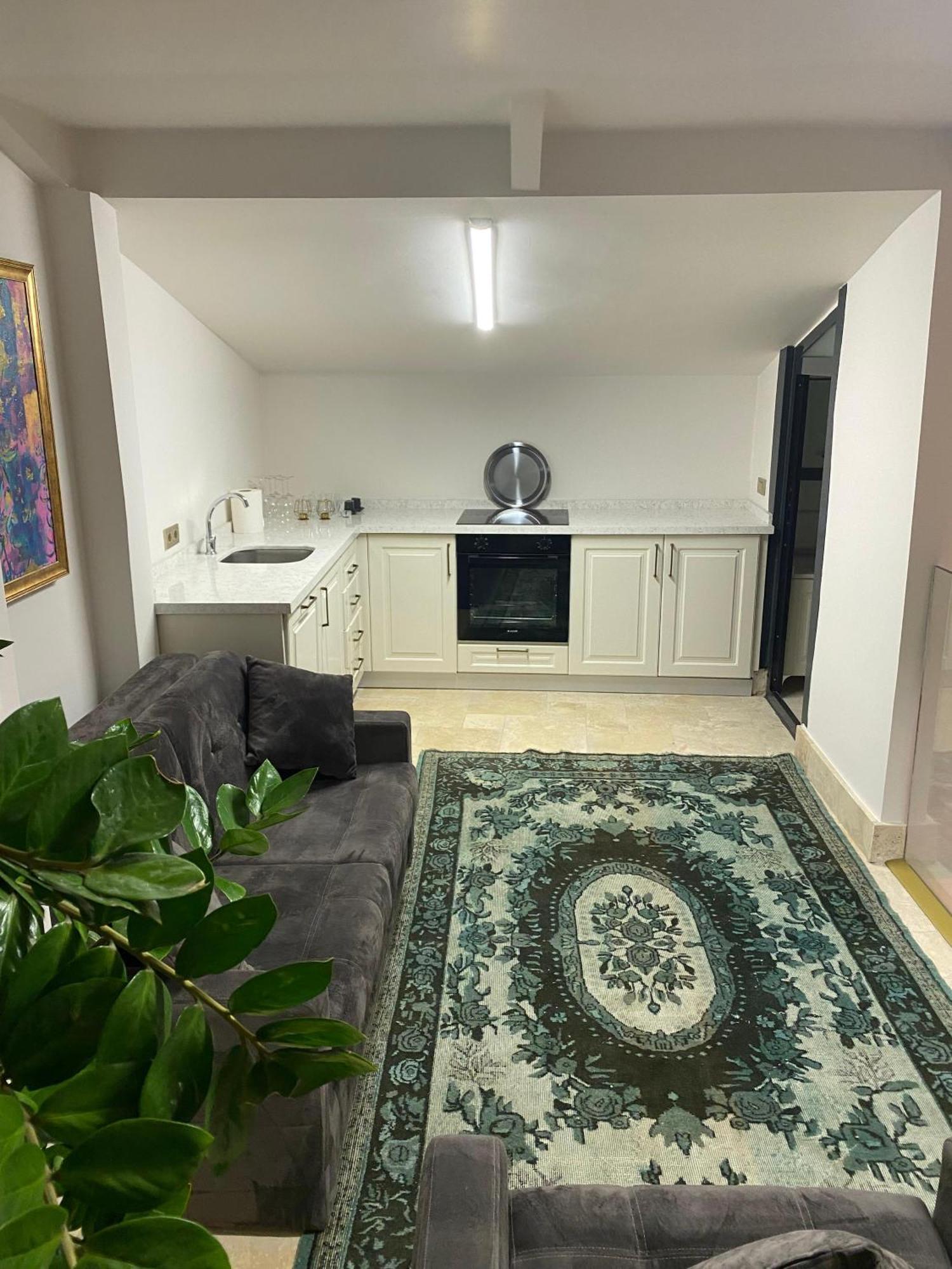 Ab Residences- Private Villa Independent イスタンブール エクステリア 写真